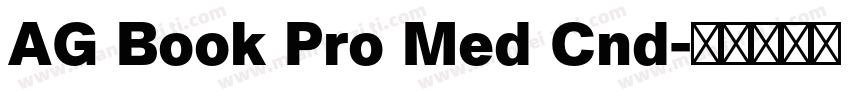 AG Book Pro Med Cnd字体转换